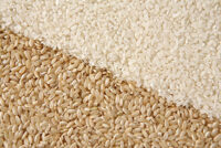 Round Grain Rice