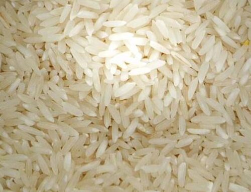 The Best Long Grain Rice Suppliers: Where Quality Meets Affordability